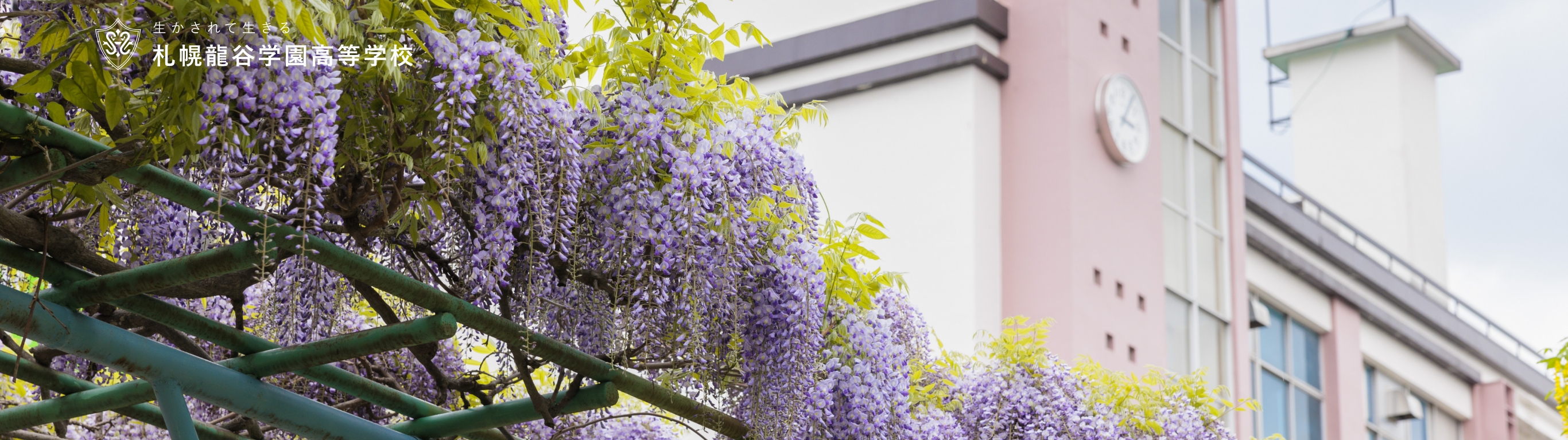 札幌龍谷学園高等学校 校舎と藤棚